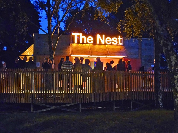 Nest at night